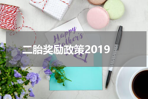 二胎奖励政策2019