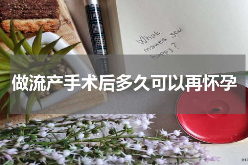 做流产手术后多久可以再怀孕