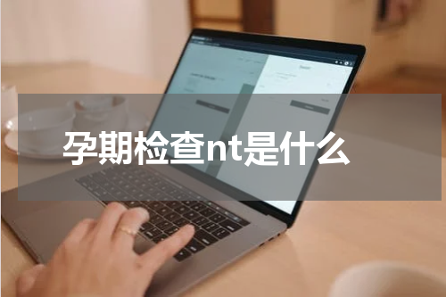 孕期检查nt是什么