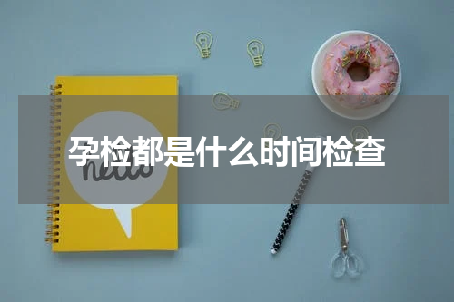 孕检都是什么时间检查
