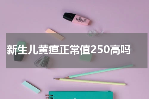 新生儿黄疸正常值250高吗