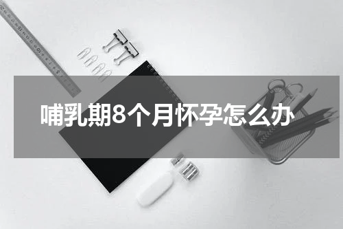 哺乳期8个月怀孕怎么办