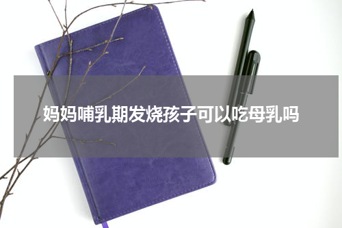 妈妈哺乳期发烧孩子可以吃母乳吗