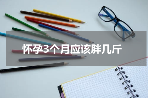 怀孕3个月应该胖几斤