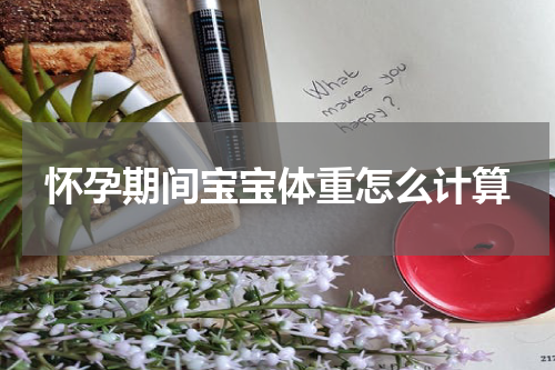 怀孕期间宝宝体重怎么计算