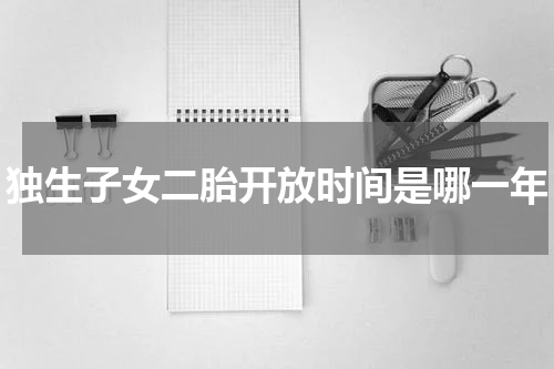 独生子女二胎开放时间是哪一年
