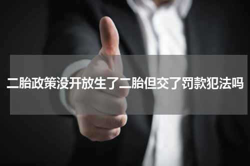 二胎政策没开放生了二胎但交了罚款犯法吗