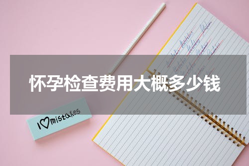 怀孕检查费用大概多少钱