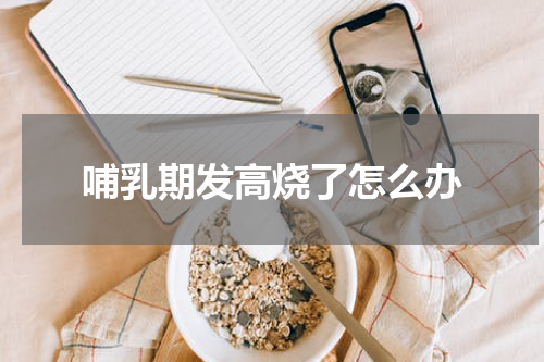 哺乳期发高烧了怎么办