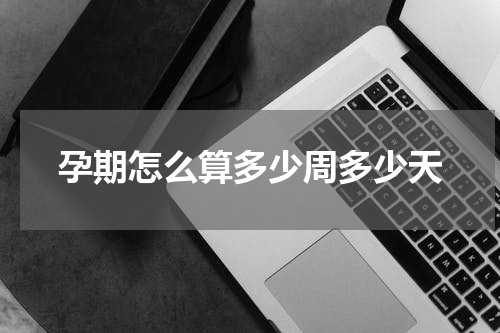孕期怎么算多少周多少天