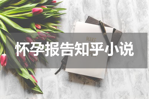 怀孕报告知乎小说