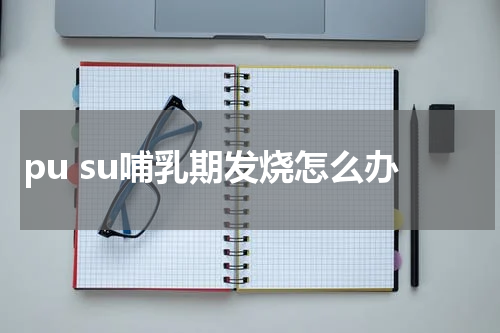 pu su哺乳期发烧怎么办