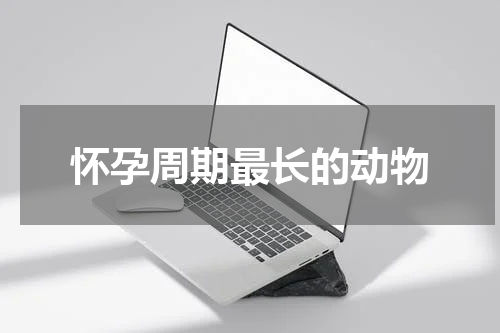 怀孕周期最长的动物