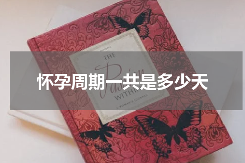 怀孕周期一共是多少天