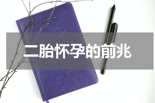 二胎怀孕的前兆