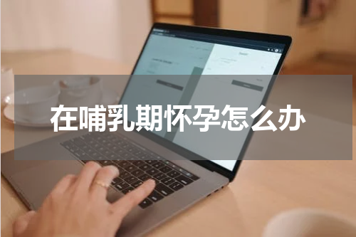 在哺乳期怀孕怎么办