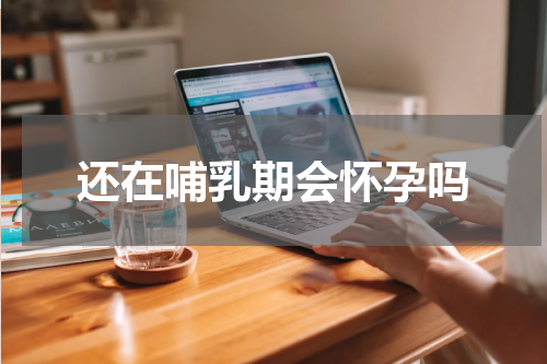 还在哺乳期会怀孕吗