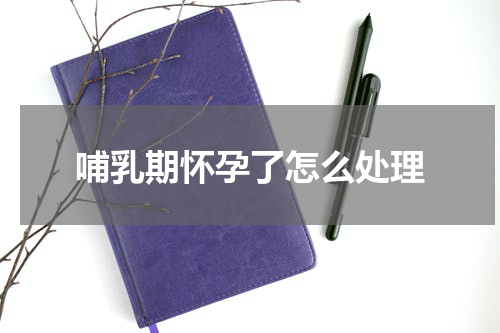 哺乳期怀孕了怎么处理