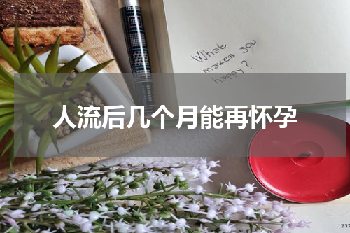 人流后几个月能再怀孕