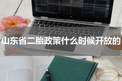山东省二胎政策什么时候开放的