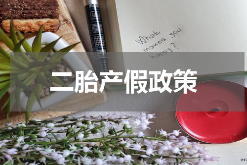 二胎产假政策