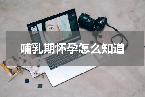 哺乳期怀孕怎么知道