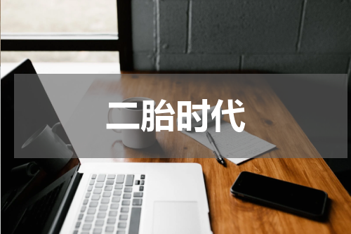 二胎时代