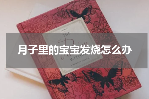 月子里的宝宝发烧怎么办