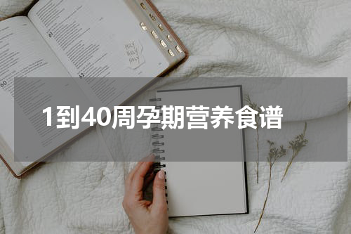 1到40周孕期营养食谱
