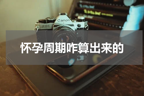 怀孕周期咋算出来的