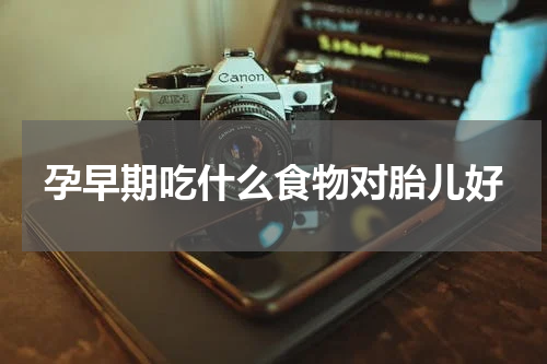 孕早期吃什么食物对胎儿好