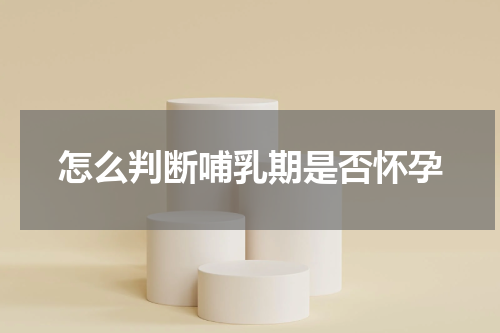 怎么判断哺乳期是否怀孕