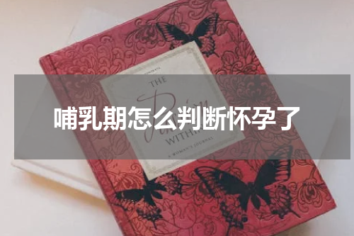 哺乳期怎么判断怀孕了