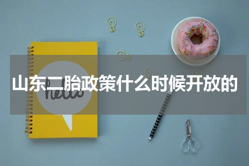 山东二胎政策什么时候开放的