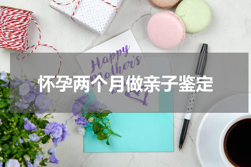 怀孕两个月做亲子鉴定