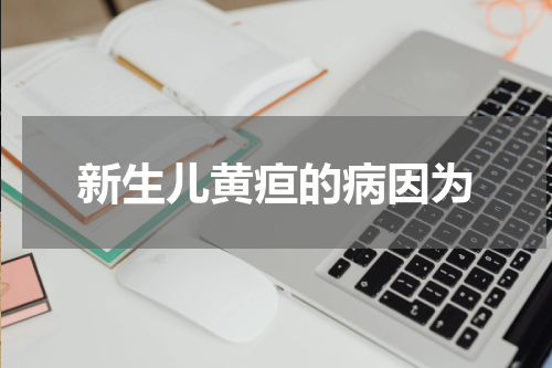 新生儿黄疸的病因为
