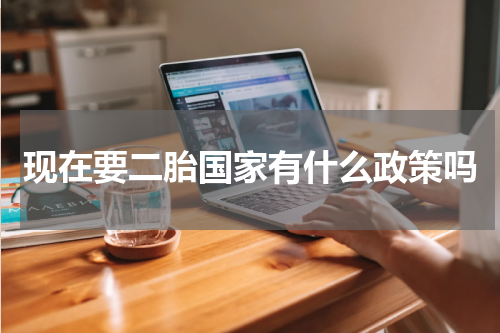 现在要二胎国家有什么政策吗