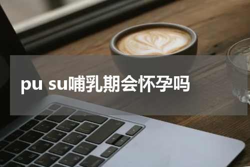 pu su哺乳期会怀孕吗