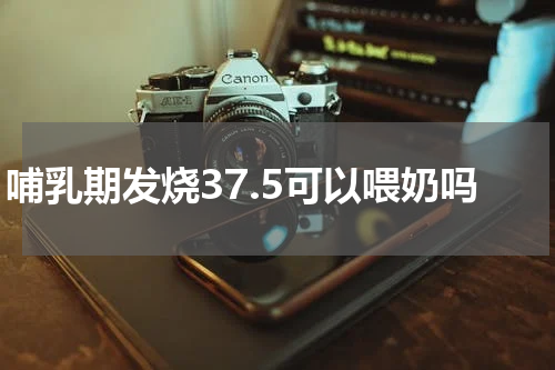 哺乳期发烧37.5可以喂奶吗