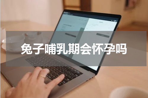 兔子哺乳期会怀孕吗