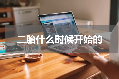 二胎什么时候开始的