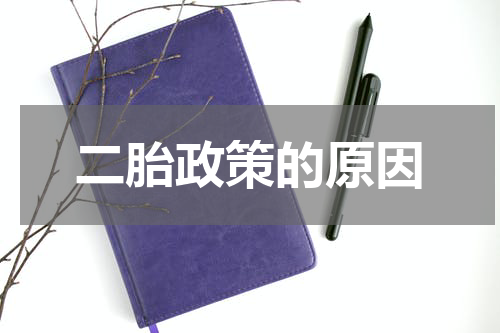 二胎政策的原因