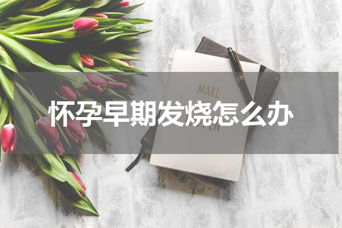 怀孕早期发烧怎么办