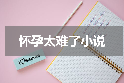 怀孕太难了小说