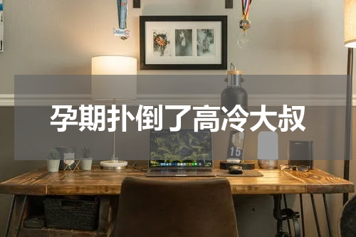 孕期扑倒了高冷大叔