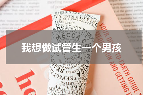 我想做试管生一个男孩