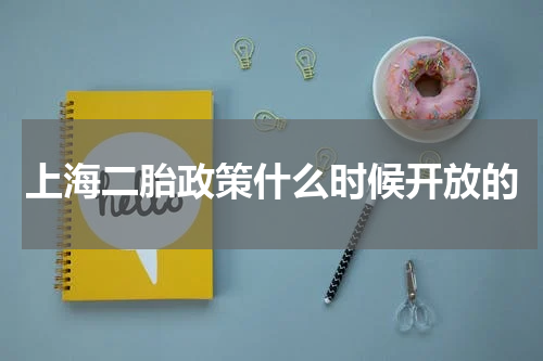上海二胎政策什么时候开放的