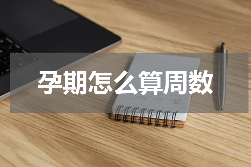 孕期怎么算周数