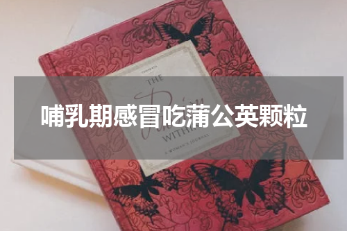哺乳期感冒吃蒲公英颗粒