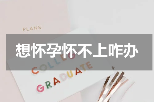 想怀孕怀不上咋办